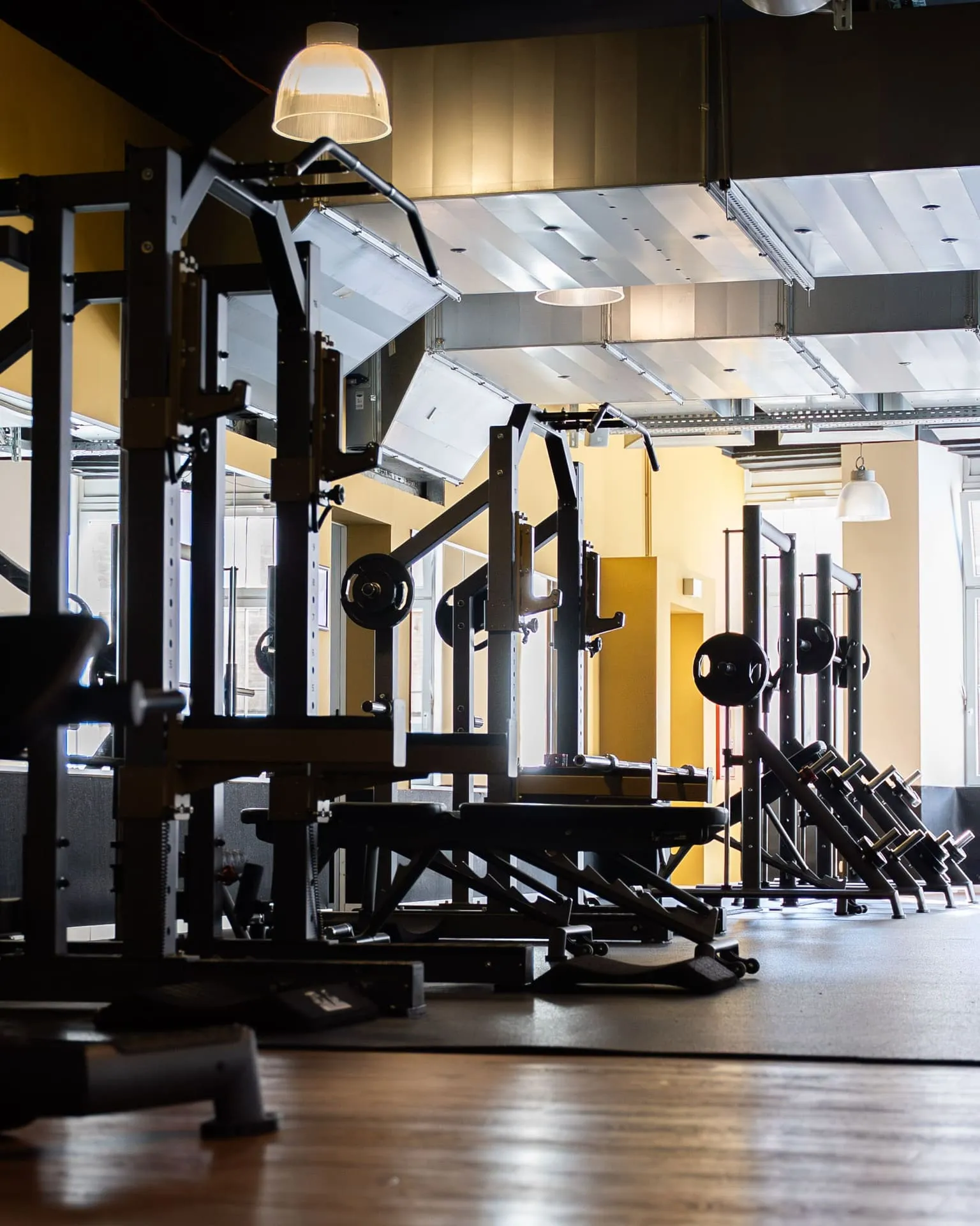 Kraftbereich mit Racks und Hantelbänken im Limitless Lifestyle Buer