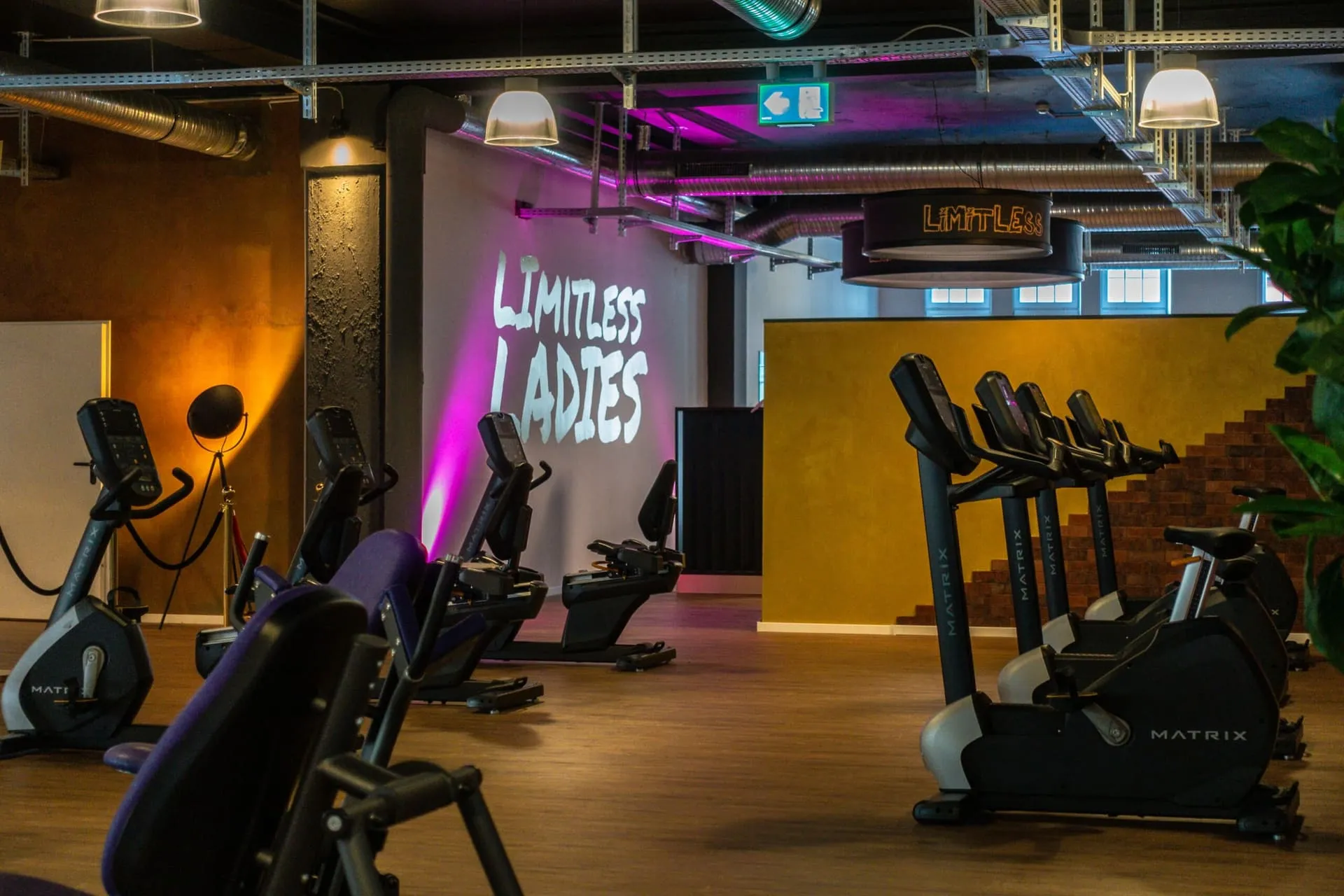 Limitless Ladies Trainingsbereich mit Cardiogeräten